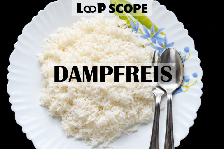 Dampfreis
