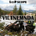 Viltnemnda
