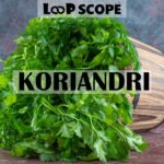 Koriandri