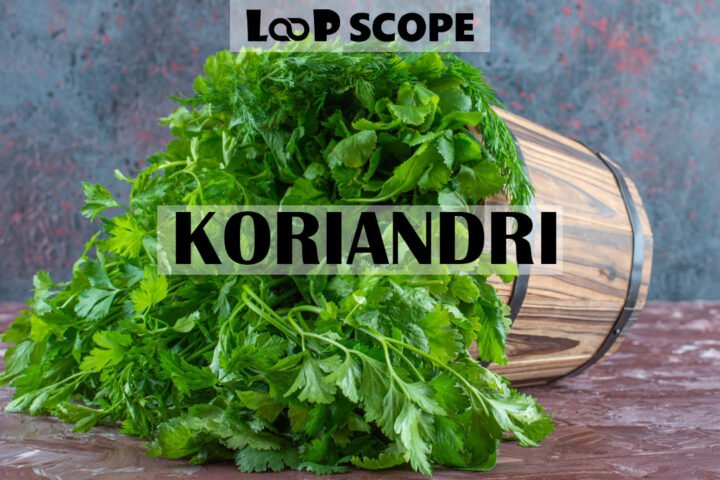 Koriandri