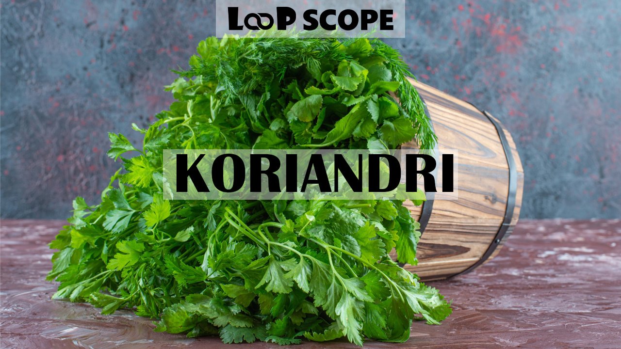 Koriandri