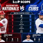 washington nationals vs chicago cubs match player stats